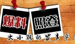 大渝爆料台最新爆料,最新劲爆事件幕后真相