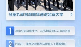 马树山最新爆料新闻,揭秘事件背后惊人真相