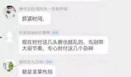 爆料老利视频大全最新,热门爆料尽收眼底