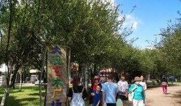 昆明旅游最新爆料,探秘春城秘境，解锁四季如春的绝美风光