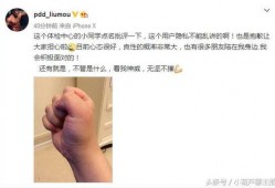 骚猪原神最新爆料消息,骚猪最新爆料，神秘角色与全新元素即将揭晓！