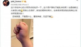 骚猪原神最新爆料消息,骚猪最新爆料，神秘角色与全新元素即将揭晓！