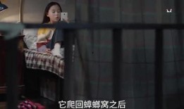 伊静和姐姐最新爆料视频,惊人内幕大公开！