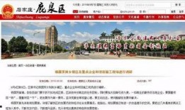 鹿泉最新爆料新闻头条,揭秘重大事件背后真相