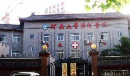 最新爆料淮河医院,揭秘背后惊人真相！