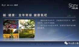 深圳文哥最新的爆料新闻,最新劲爆新闻揭秘