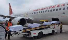 长安航空爆料最新消息,揭秘神秘航线及全新服务升级