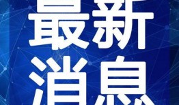 天坑小队爆料视频大全最新,揭秘幕后真相与精彩瞬间