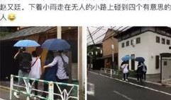 涧西吃瓜最新事件爆料,揭秘最新爆料背后的真相与争议